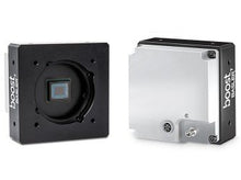 Basler boA4096-180cc - Wilco Imaging